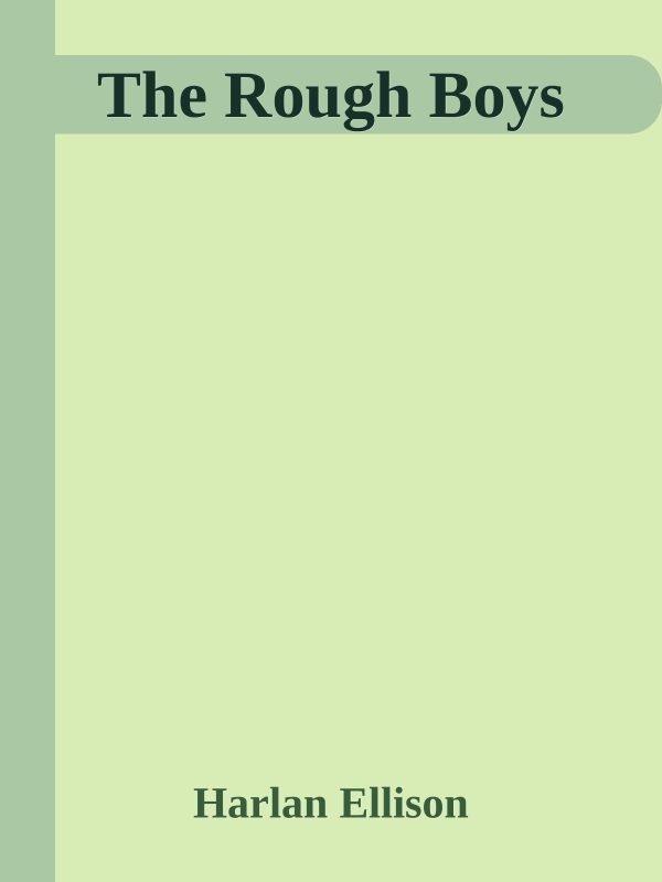Обложка книги «The Rough Boys»