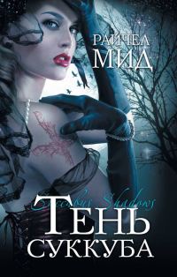 Обложка книги «Тень суккуба»