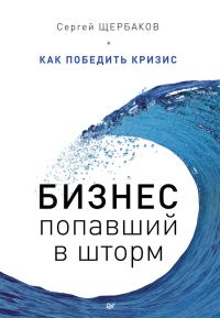 Обложка книги «Бизнес, попавший в шторм. Как победить кризис»