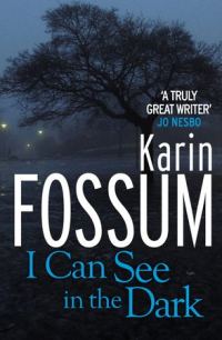 Обложка книги «I Can See in the Dark»