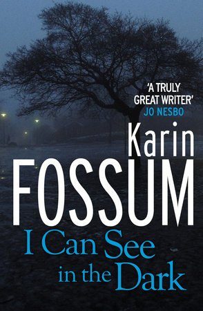 Обложка книги «I Can See in the Dark»
