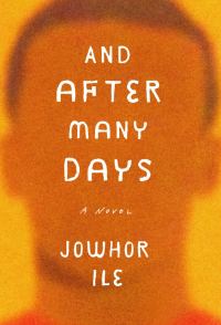 Обложка книги «And After Many Days»