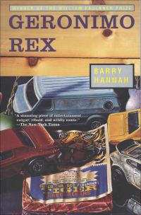Обложка книги «Geronimo Rex»