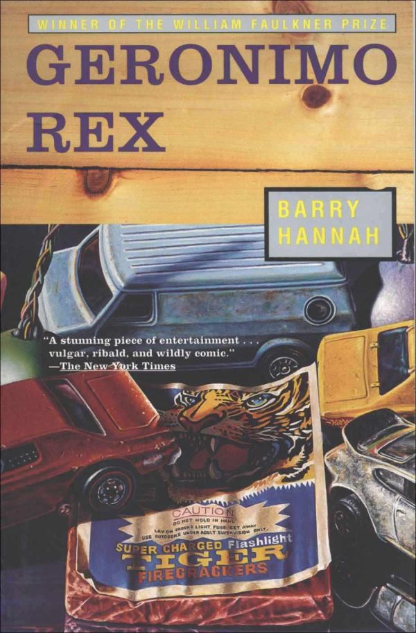 Обложка книги «Geronimo Rex»