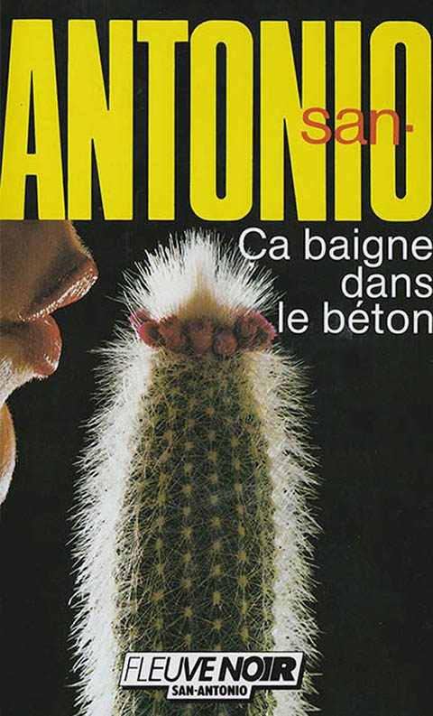 Обложка книги «Ça baigne dans le béton»