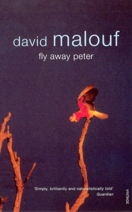 Обложка книги «Fly Away Peter»
