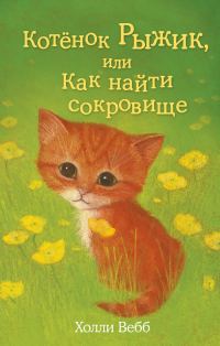 Обложка книги «Котёнок Рыжик, или Как найти сокровище»