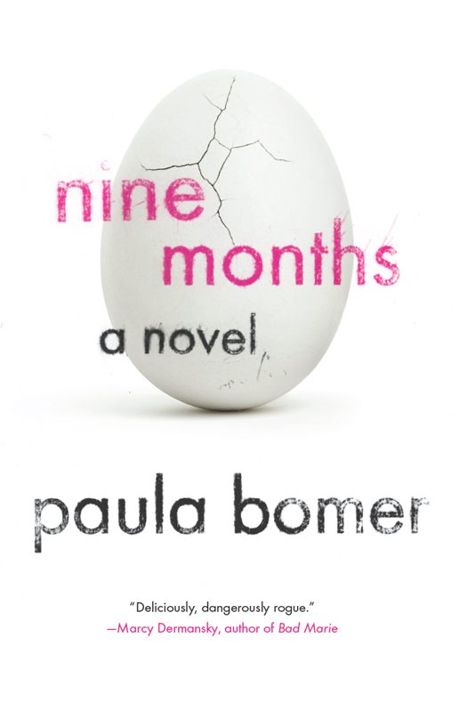 Обложка книги «Nine Months»