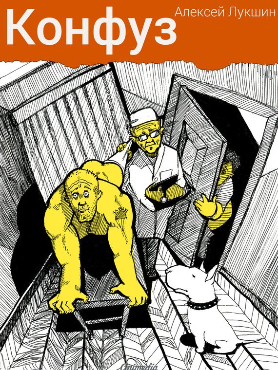 Обложка книги «Конфуз (сборник)»