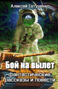 Обложка книги «Бой на вылет»