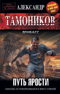 Обложка книги «Путь ярости»