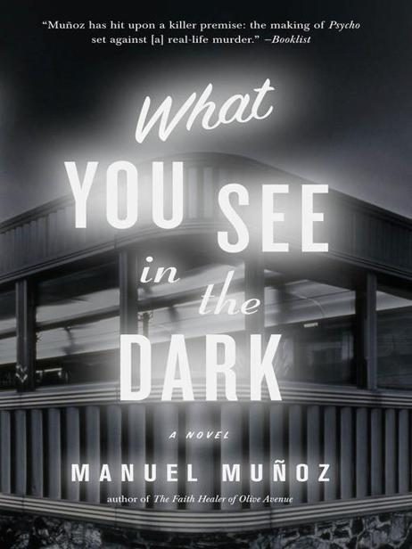 Обложка книги «What You See in the Dark»