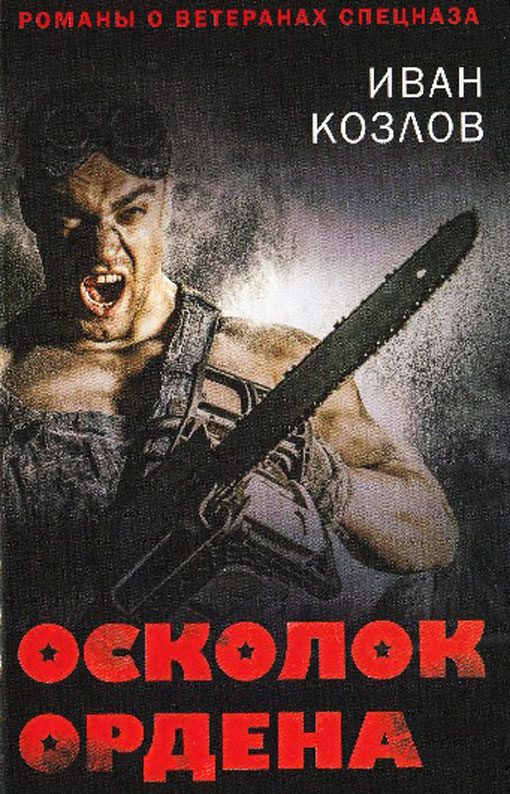 Обложка книги «Осколок ордена»