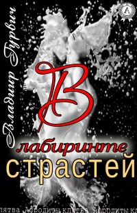 Обложка книги «В лабиринте страстей»