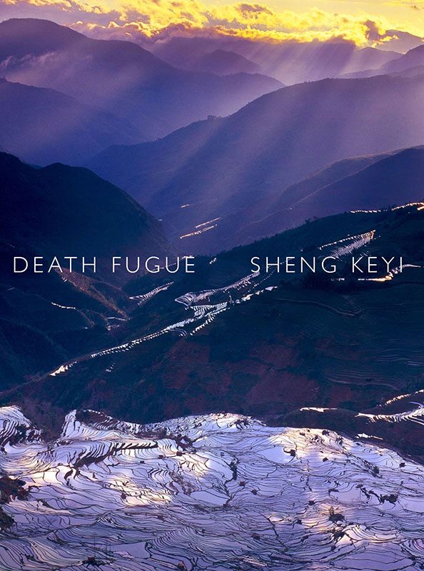 Обложка книги «Death Fugue»