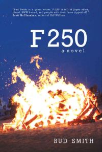 Обложка книги «F 250»