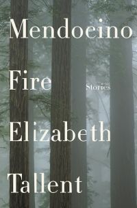 Обложка книги «Mendocino Fire»