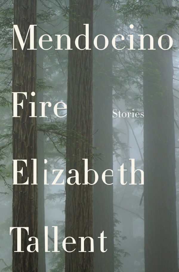 Обложка книги «Mendocino Fire»