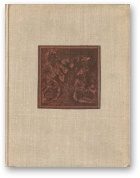 Обложка книги «Рудабельская рэспубліка»
