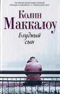 Обложка книги «Блудный сын»