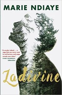 Обложка книги «Ladivine»