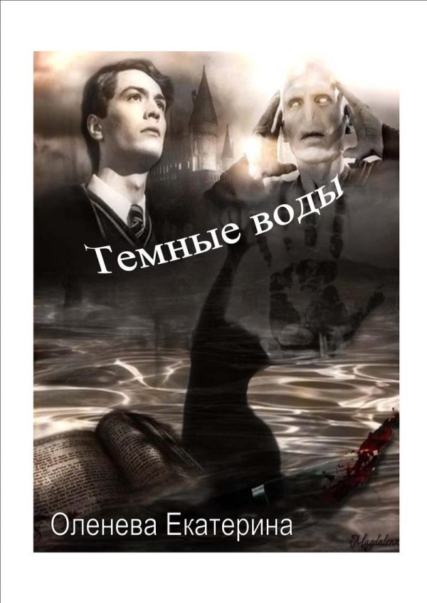 Обложка книги «Темные воды»