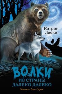 Обложка книги «Одиночка. Тень. Страж»