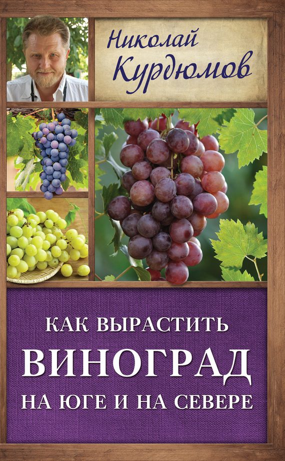 Обложка книги «Как вырастить виноград на Юге и на Севере»