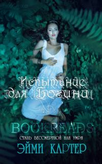 Обложка книги «Испытание для Богини»
