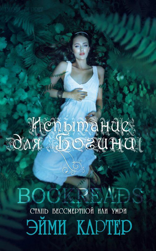Обложка книги «Испытание для Богини»