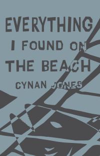 Обложка книги «Everything I Found on the Beach»