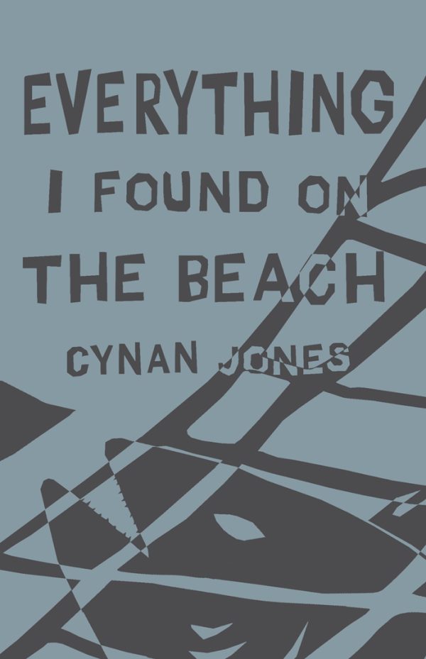 Обложка книги «Everything I Found on the Beach»