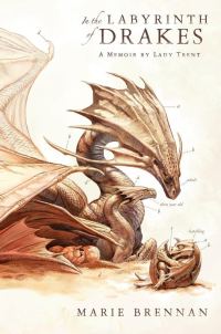 Обложка книги «In the Labyrinth of Drakes»