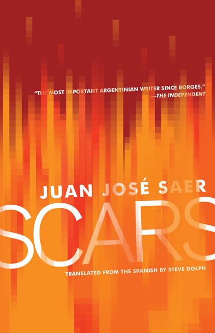 Обложка книги «Scars»