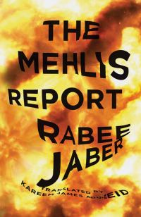 Обложка книги «The Mehlis Report»