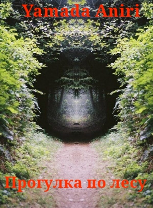 Обложка книги «Прогулка по лесу»