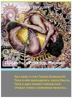 Обложка книги «Реактор Жизни»