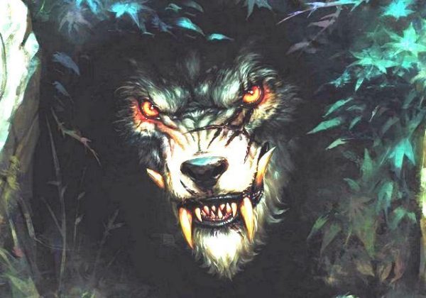 Обложка книги «Судьба (СИ)»