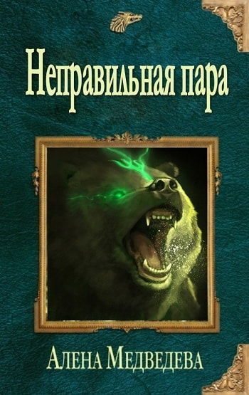 Обложка книги «Неправильная пара»