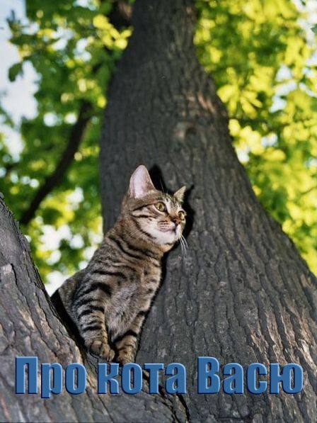 Обложка книги «Про кота Васю (СИ)»