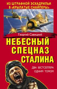 Обложка книги «Небесный спецназ Сталина»