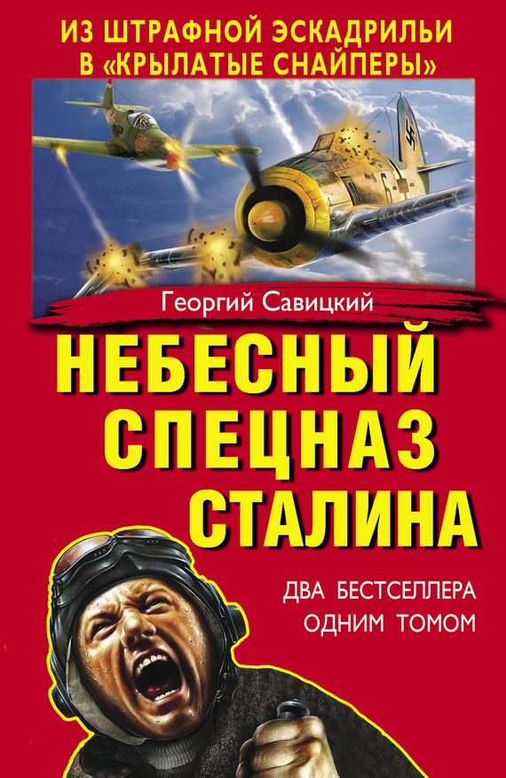 Обложка книги «Небесный спецназ Сталина»