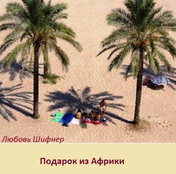 Обложка книги «Подарок из Африки (СИ)»