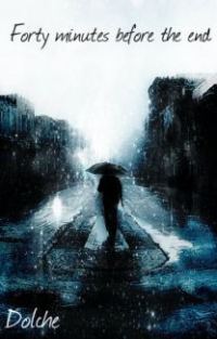 Обложка книги «Forty minutes before the end (СИ)»