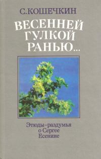 Обложка книги «Весенней гулкой ранью...»