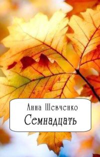 Обложка книги «Семнадцать(СИ)»
