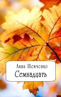 Обложка книги «Семнадцать(СИ)»