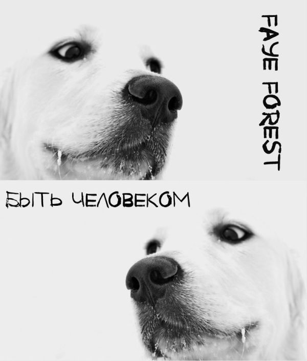 Обложка книги «Быть Человеком»
