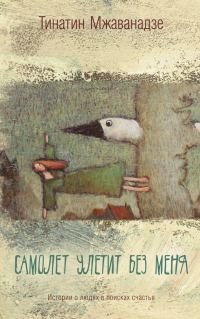 Обложка книги «Самолет улетит без меня»