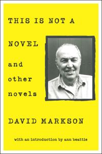Обложка книги «This is Not a Novel and Other Novels»
